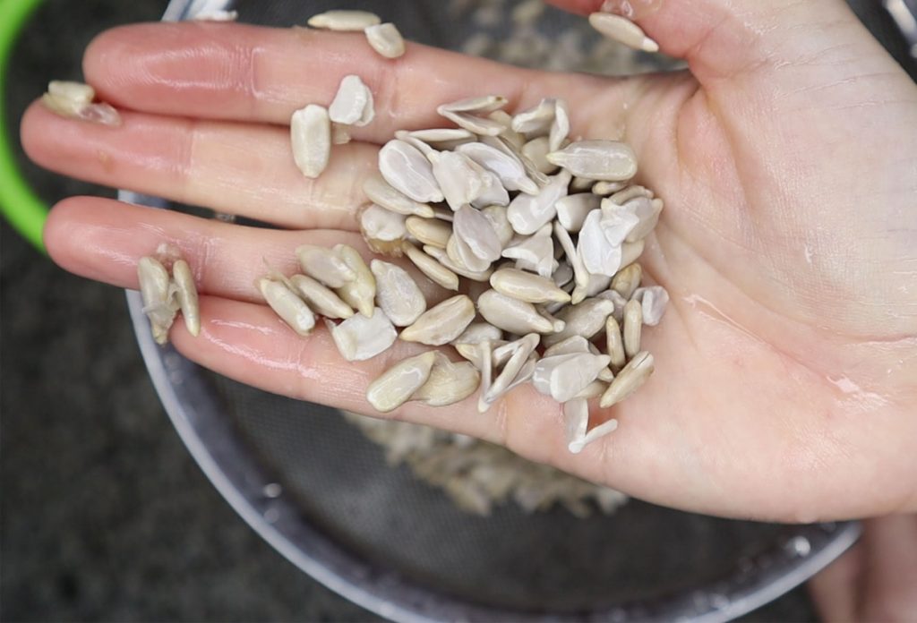 Porqué activar frutos secos y semillas?
