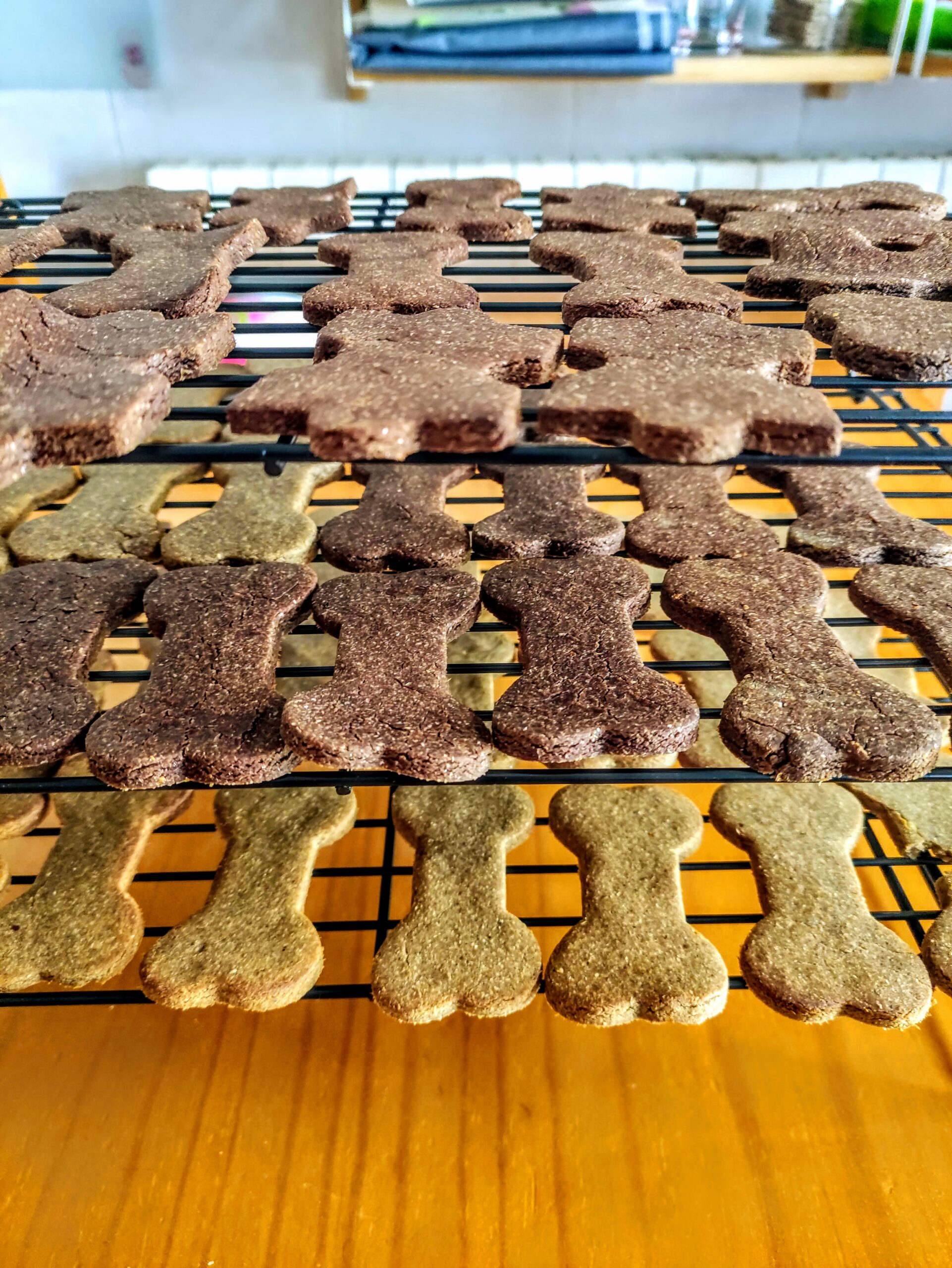 Galletas supernutritivas