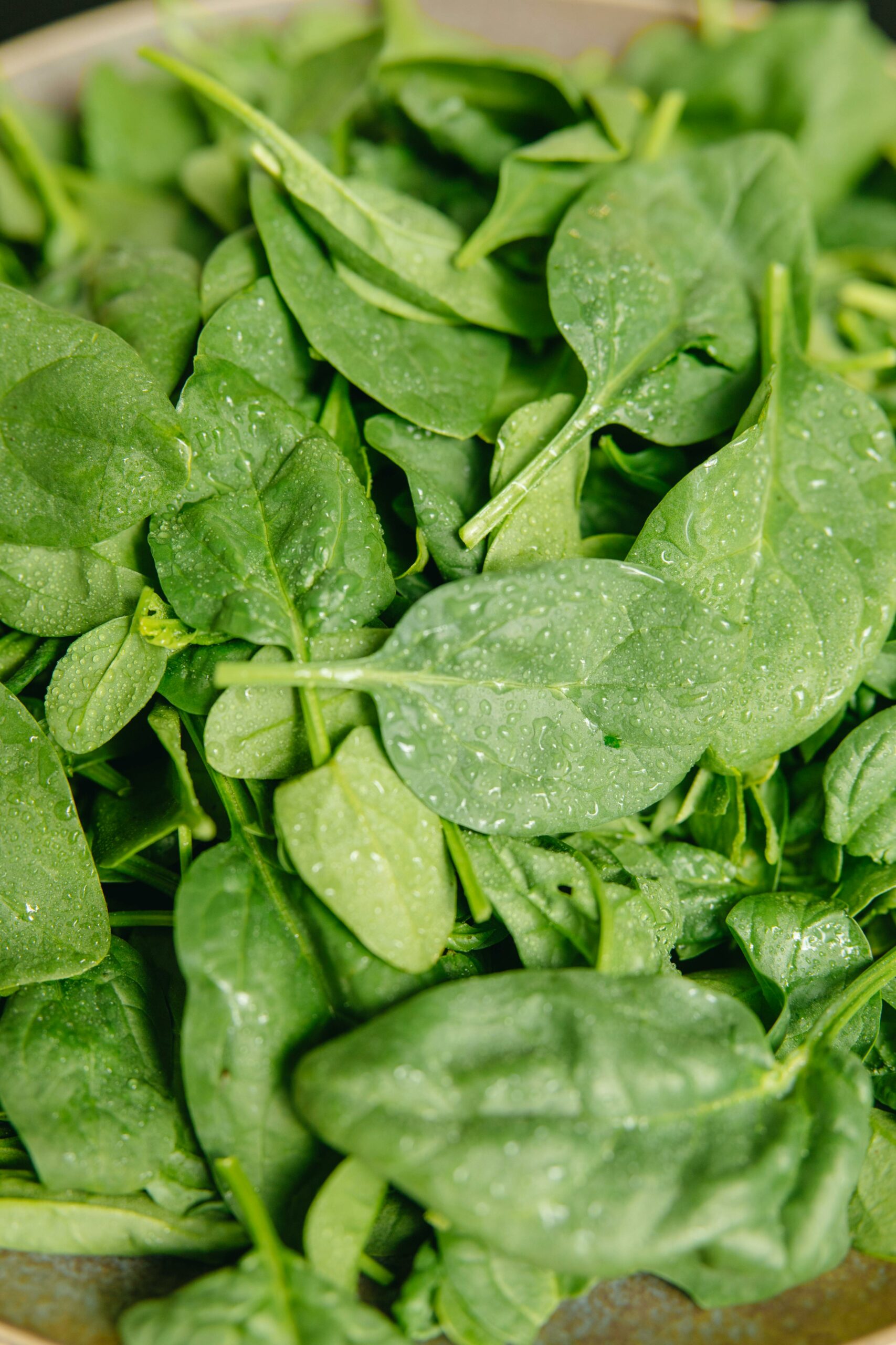 Vegetales de hojas verdes; te comes las hojas???